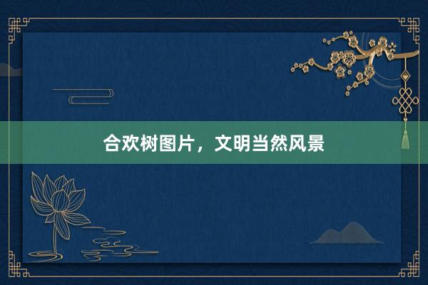 合欢树图片，文明当然风景